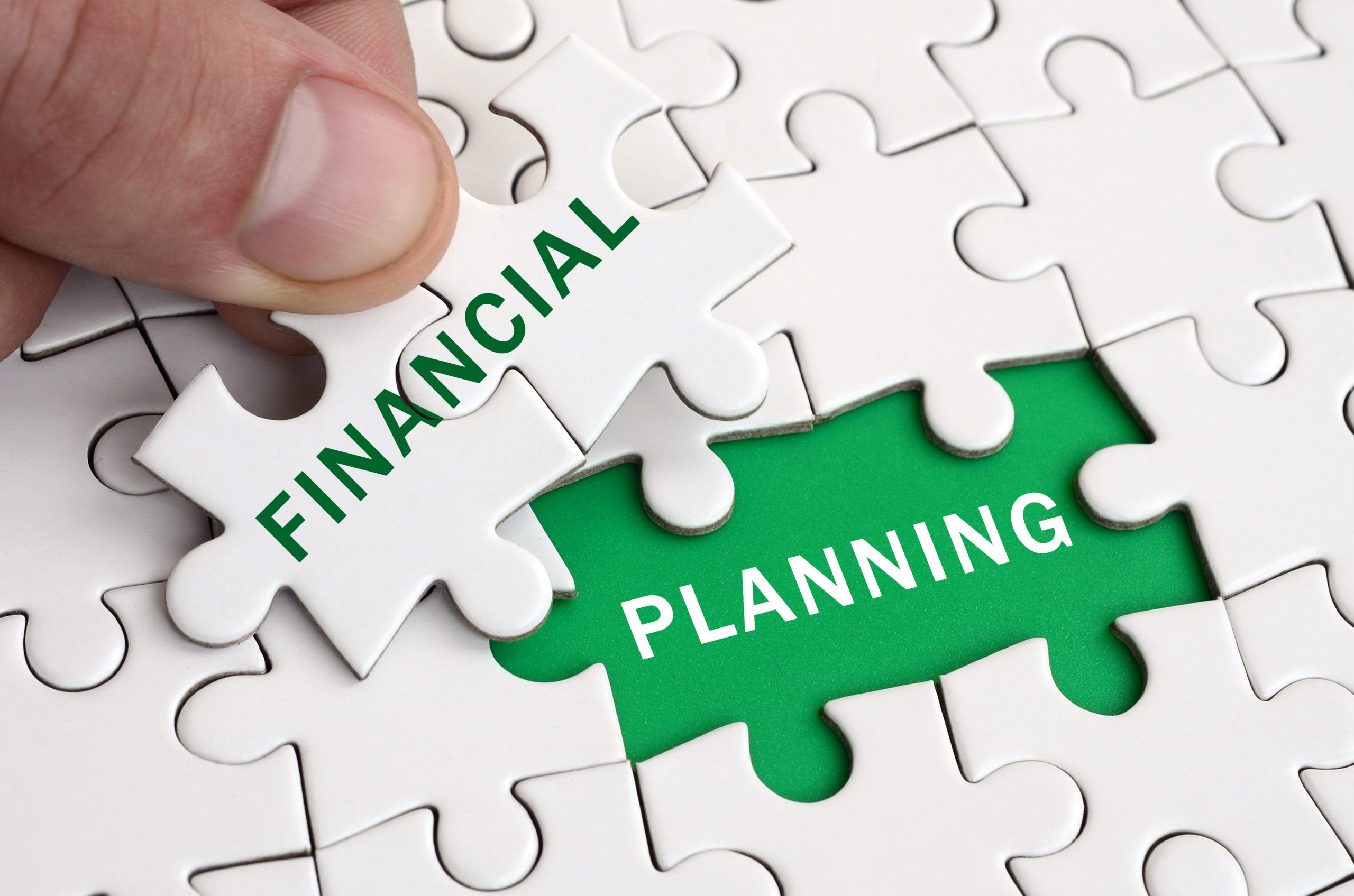 Income Survival Plan